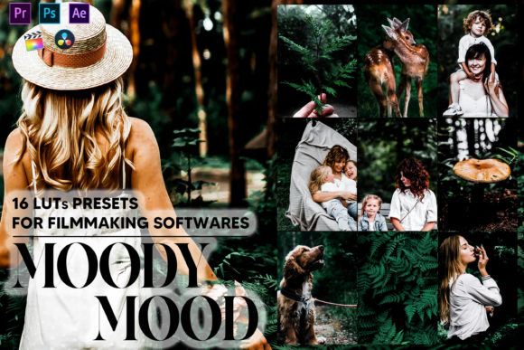 Download 16 Moody Mood Video LUTs Presets - Luts Collection