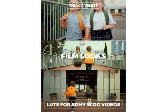 Download Cinematic LUTs for Sony S-log Videos - Cinematic Collection