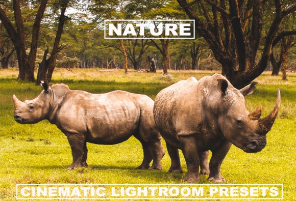 Download Cinematic Lightroom Presets Nature Tone - Cinematic Collection