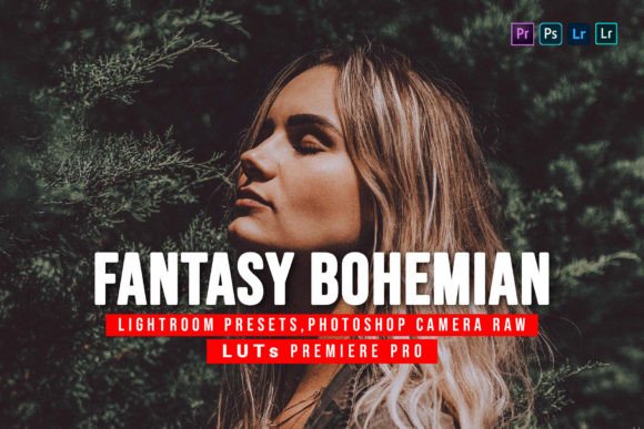 Download 5 Fantasy Bohemian Presets and Luts - Luts Collection