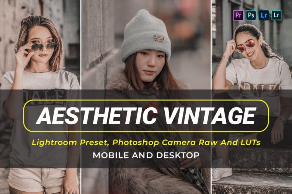 Download 10 Aesthetic Vintage Presets and Luts - Luts Collection