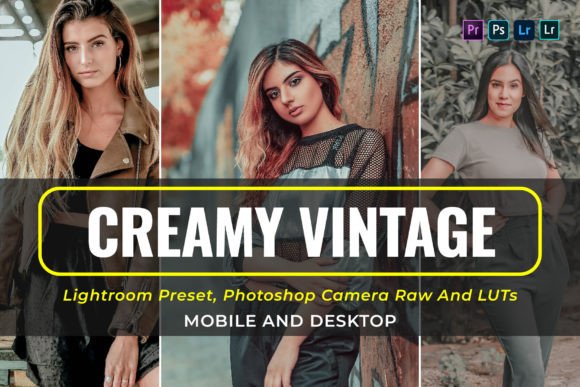 Download 10 Creamy Vintage Presets and Luts - Luts Collection