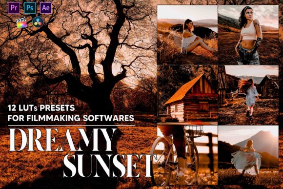 Download 12 Dreamy Sunset LUTs Presets - Luts Collection