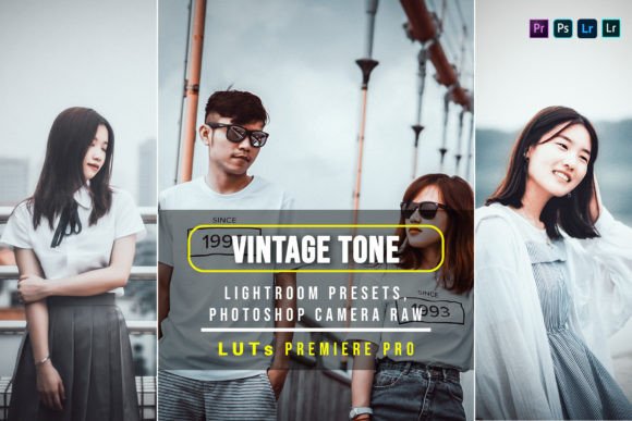 Download 10 Vintage Tone Presets and Luts - Luts Collection