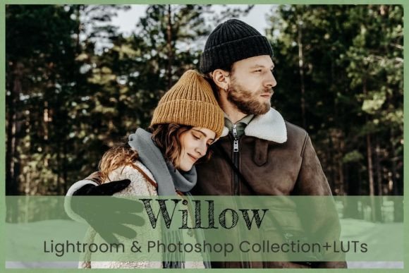 Download 8 Willow Photoshop Actions Winter Warm - Premium Resources