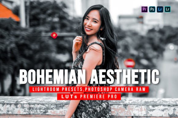 Download 10 Bohemian Aesthetic Presets and Luts - Luts Collection