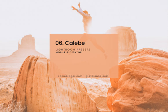 Download 06. Calebe Blogger Presets - Blogger Collection