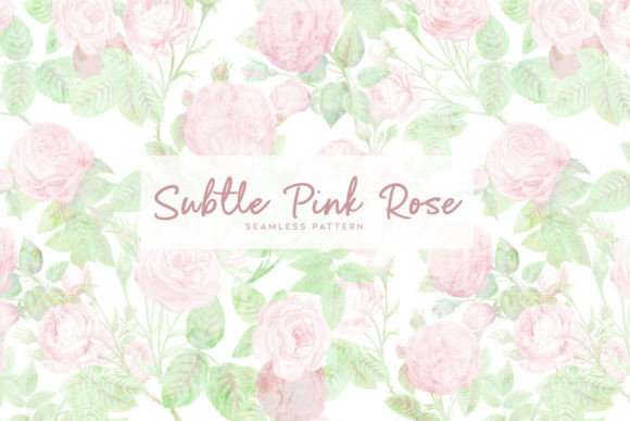 Download Subtle Pink Rose - Subtle Collection