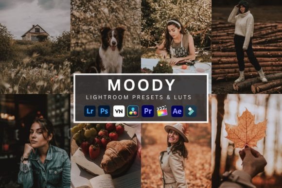 Download Moody Lightroom Presets &amp; Luts - Luts Collection