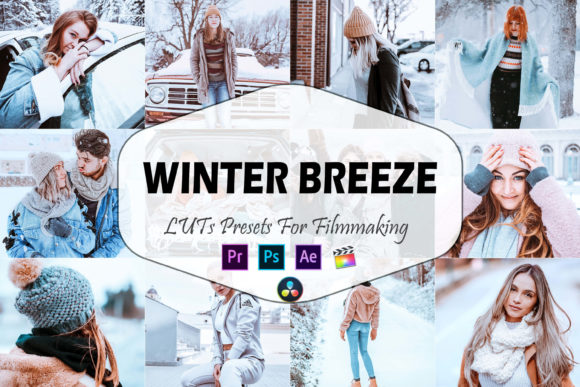 Download 3 Winter Breeze Video LUTs Presets - Luts Collection