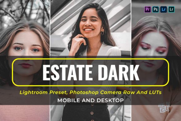 Download 10 Estate Dark Presets and Luts - Luts Collection