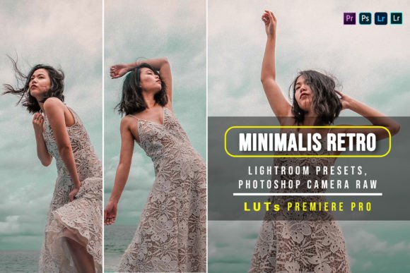 Download 5 Minimalist Retro Presets and Luts - Luts Collection