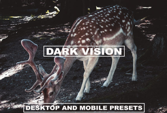 Download Cinematic Lightroom Dark Moody Tones - Cinematic Collection